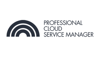 professional-cloud-service-manager