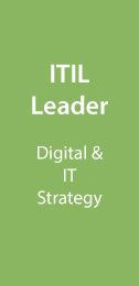 Digital-IT-Strategy